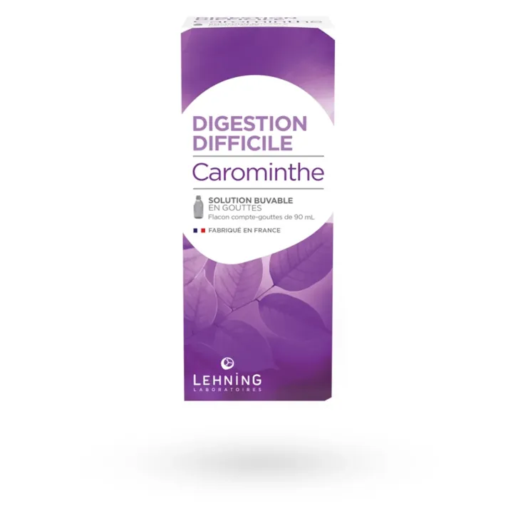 Carominthe Lehning digestion difficile 90 ml | Pharmacie en ligne