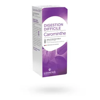 Carominthe Lehning digestion difficile 90 ml