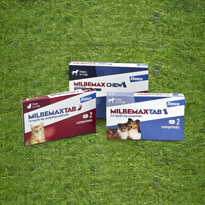 MilbemaxTab chiens 12,5 mg/125 mg 2 comprimés - Vermifuge chien | Pharmacie en ligne