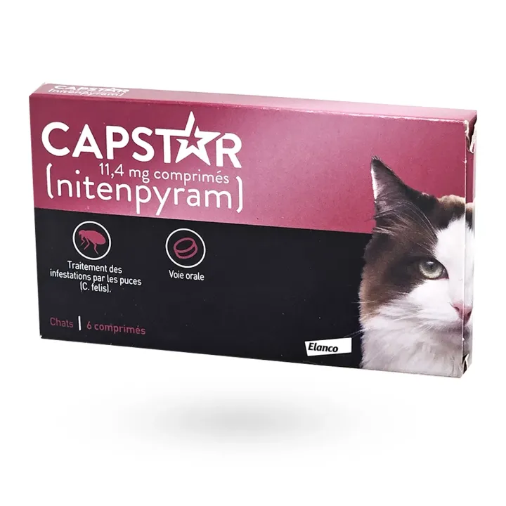 Capstar chat 11,4 mg anti-puces 6 comprimés – Comprimé puces chat à action rapide | Pharmacie en ligne