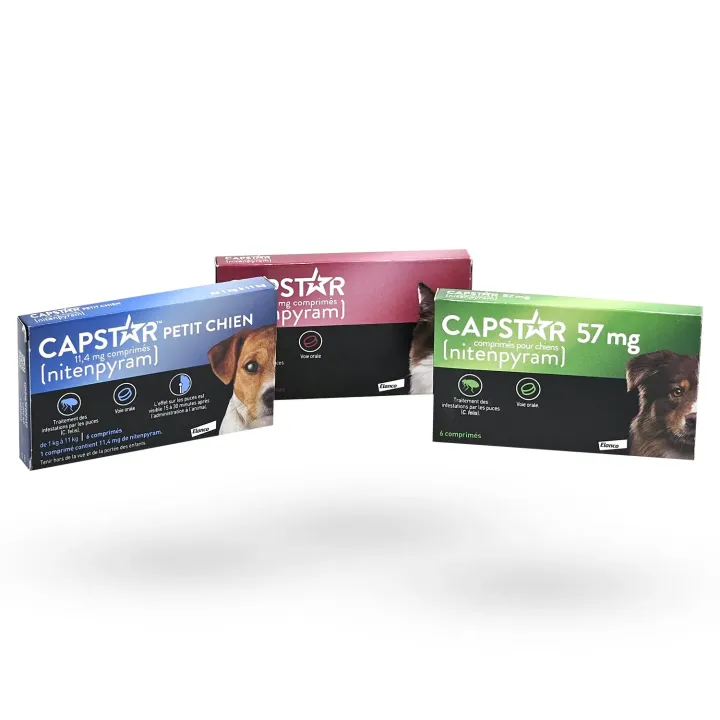 Capstar nitenpyram traitements anti-puces comprimés gamme