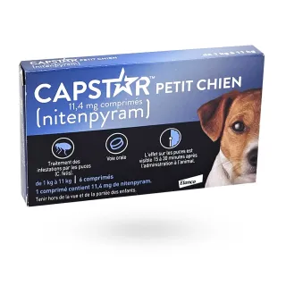 Capstar petit chien 11,4 mg nitenpyram anti-puces 6 comprimés