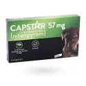 Capstar chien 57 mg nitenpyram anti-puces 6 comprimés