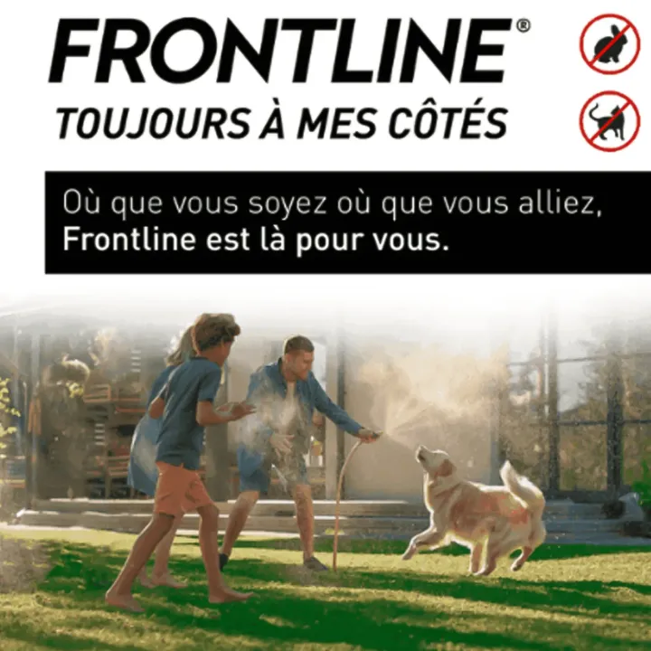 Frontline