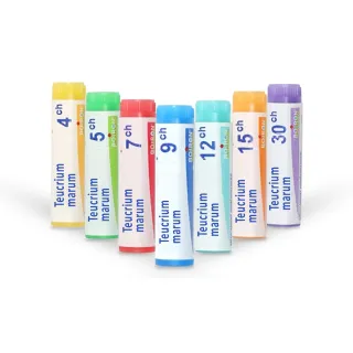 Teucrium marum Boiron | Tubes doses