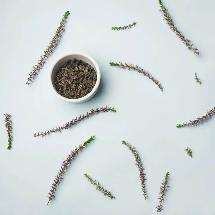 Teucrium marum