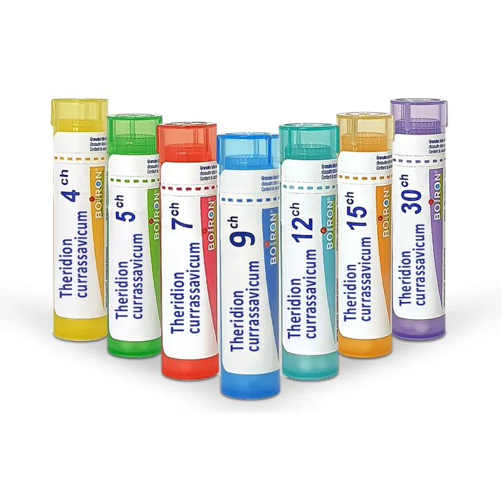 Theridion currassavicum Boiron | Tubes granules