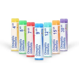 Chimaphila Umbellata Boiron | Tubes doses
