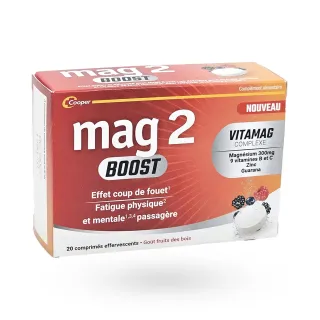 Mag 2 BOOST 20 comprimés effervescents