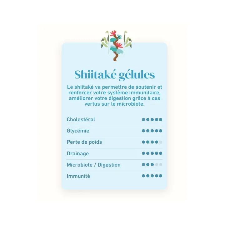 French Mush Shiitaké 56 gélules