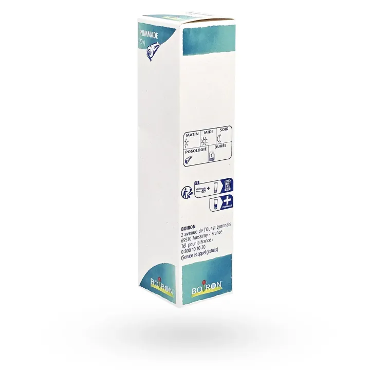 Ruta Graveolens Boiron 9 CH pommade 20 g boite face coté droit