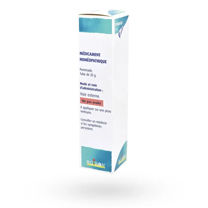 Ruta Graveolens Boiron 9 CH pommade 20 g boite face arrière