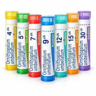 Ornithogalum umbellatum Boiron – Tubes granules