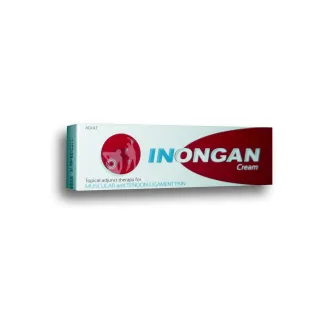 Inongan crème douleurs musculaires 