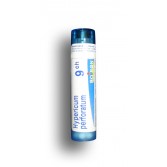 Hypericum perforatum Boiron - Tubes granules et doses