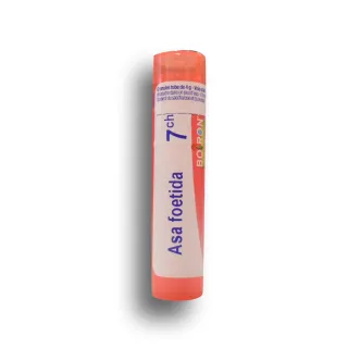 Asa foetida Boiron tube granules - 5 CH 7 CH 9 CH Asa foetida Boiron tube granules - 5 CH 7 CH 9 CH
