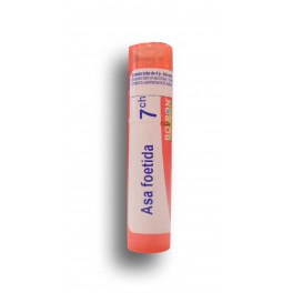 https://www.pharmacie-place-ronde.fr/8103-thickbox_default/asa-foetida-boiron-tube-granules.jpg