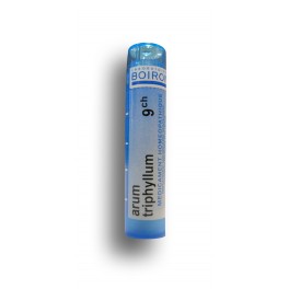 https://www.pharmacie-place-ronde.fr/8113-thickbox_default/arum-triphyllum-boiron-tube-granules.jpg