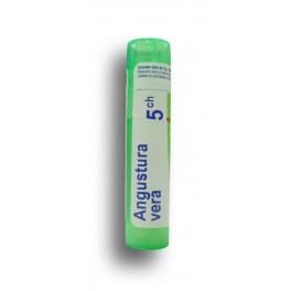 https://www.pharmacie-place-ronde.fr/8139-thickbox_default/angustura-vera-boiron-5-ch-tubes-granules.jpg
