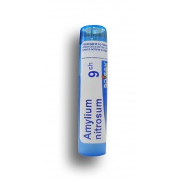 https://www.pharmacie-place-ronde.fr/8140-thickbox_default/amylium-nitrosum-boiron-tube-granules.jpg