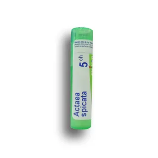 Actaea spicata Boiron tubes granules - 5 CH 9 CH