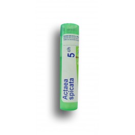 https://www.pharmacie-place-ronde.fr/8166-thickbox_default/actaea-spicata-boiron-tubes-granules.jpg