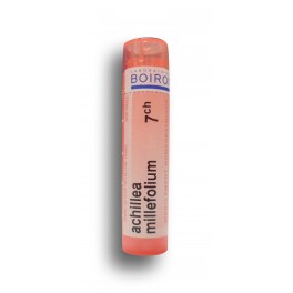 https://www.pharmacie-place-ronde.fr/8195-thickbox_default/achillea-millefolium-boiron-7-ch-tubes-granules.jpg
