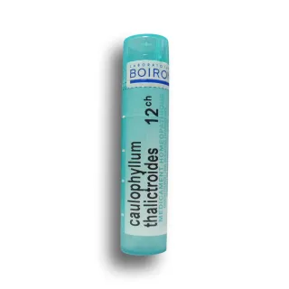 Caulophyllum Thalictroides Boiron tubes granules et doses - 4 CH 5 CH  7 CH 9 CH 12 CH 15 CH 30 CH