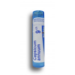 https://www.pharmacie-place-ronde.fr/8226-thickbox_default/capsicum-annuum-boiron-tubes-granules-doses.jpg