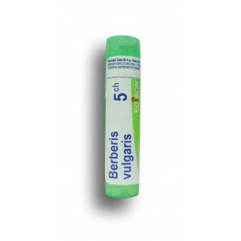 https://www.pharmacie-place-ronde.fr/8260-thickbox_default/berberis-vulgaris-boiron-tubes-granules-doses.jpg