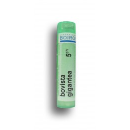 https://www.pharmacie-place-ronde.fr/8263-thickbox_default/bovista-gigantea-boiron-tubes-granules-doses.jpg