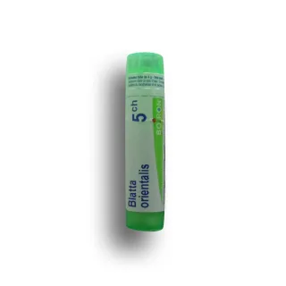 Blatta orientalis Boiron tubes granules et doses - 4 CH 5 CH 7 CH 9 CH 12 CH 15 CH 30 CH