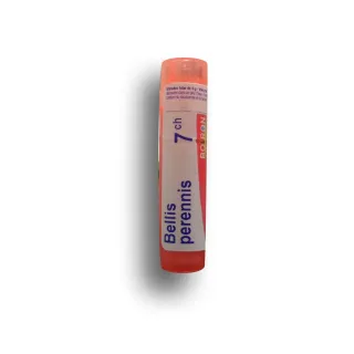 Bellis perennis Boiron tubes granules et doses - 4 CH 5 CH 7 CH 9 CH 12 CH 15 CH 30 CH