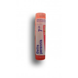 https://www.pharmacie-place-ronde.fr/8289-thickbox_default/bellis-perennis-boiron-tubes-granules-doses.jpg