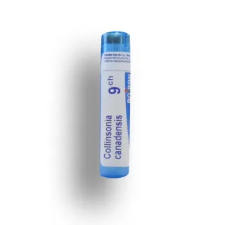 Collinsonia Canadensis Boiron tubes granules et doses - 4 CH 5 CH  7 CH 9 CH 12 CH 15 CH 30 CH