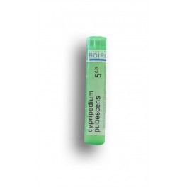 https://www.pharmacie-place-ronde.fr/8342-thickbox_default/cypripedium-pubescens-boiron-tubes-granules-doses.jpg