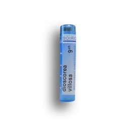 https://www.pharmacie-place-ronde.fr/8343-thickbox_default/dioscorea-villosa-boiron-tubes-granules-doses.jpg