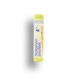 https://www.pharmacie-place-ronde.fr/8397-thickbox_default/harpagophytum-procumbens-boiron-tubes-granules-doses.jpg