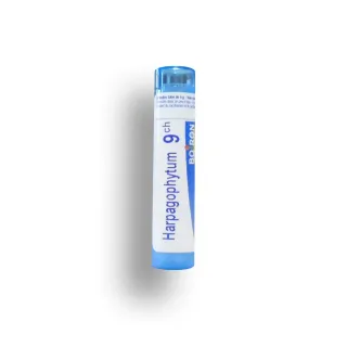 Harpagophytum Boiron  tube granules et doses - 4 CH 5 CH  7 CH 9 CH 12 CH 15 CH 30 CH
