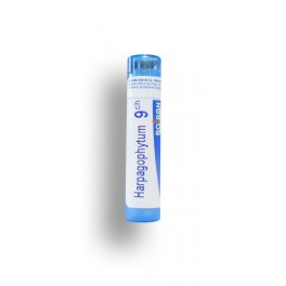 https://www.pharmacie-place-ronde.fr/8398-thickbox_default/harpagophytum-boiron-tube-granules-doses.jpg