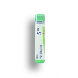 https://www.pharmacie-place-ronde.fr/8413-thickbox_default/iris-versicolor-boiron-tubes-granules-doses.jpg