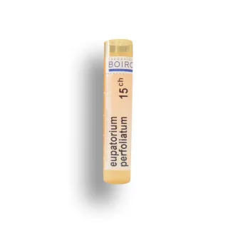 Eupatorium perfoliatum Boiron tubes granules et doses - 4 CH 5 CH  7 CH 9 CH 12 CH 15 CH 30 CH