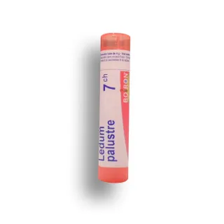 Ledum palustre Boiron tubes granules et doses - 4 CH 5 CH 7 CH 9 CH 12 CH 15 CH 30 CH