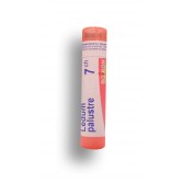 Ledum palustre Boiron - Tubes granules et doses