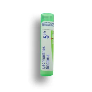 Lachnanthes tinctoria Boiron tubes granules et doses - 4 CH 5 CH 7 CH 9 CH 12 CH 15 CH 30 CH