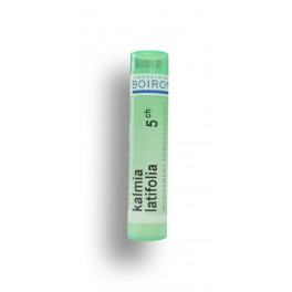 https://www.pharmacie-place-ronde.fr/8499-thickbox_default/kalmia-latifolia-boiron-tubes-granules-doses.jpg
