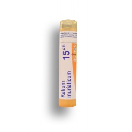 https://www.pharmacie-place-ronde.fr/8501-thickbox_default/kalium-muriaticum-boiron-tubes-granules-doses.jpg