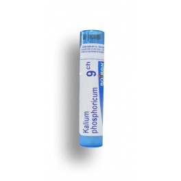https://www.pharmacie-place-ronde.fr/8507-thickbox_default/kalium-phosphoricum-boiron-tubes-granules-doses.jpg