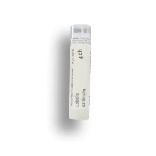 Lobelia cardinalis Boiron tubes granules et doses - 4 CH 5 CH 7 CH 9 CH 12 CH 15 CH 30 CH Lobelia cardinalis Boiron tubes granules et doses - 4 CH 5 CH 7 CH 9 CH 12 CH 15 CH 30 CH