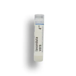 Lavandula vera Boiron tubes granules 5 CH Lavandula vera Boiron tubes granules 5 CH